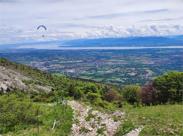 Vue sur le bassin Lémanique - ©Anne-Marie Barbe