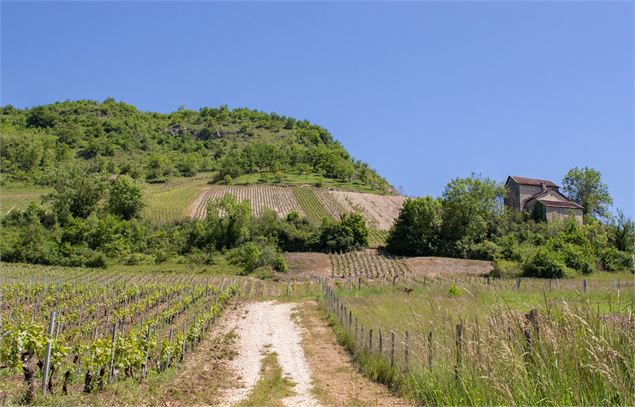 Village Seillonnaz Bugey
