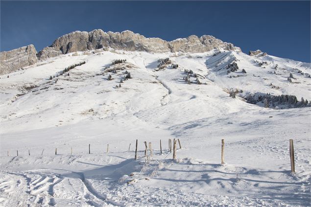 Col des Aravis - C.Ducrettet