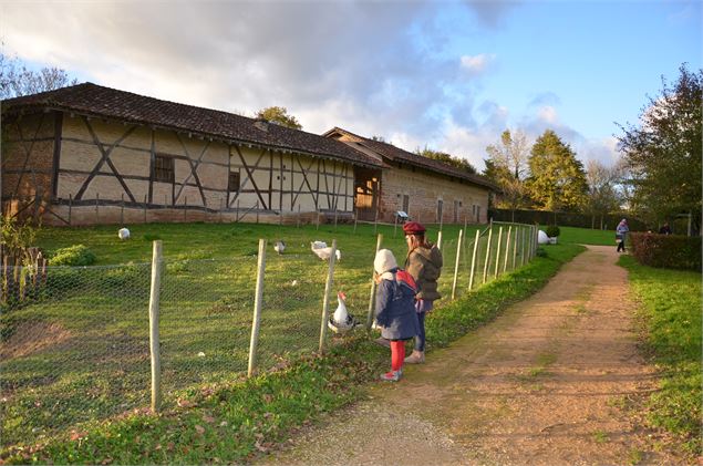 Elevage de volailles de Bresse sur le Domaine - Département de l'Ain, Agathe Gaubert