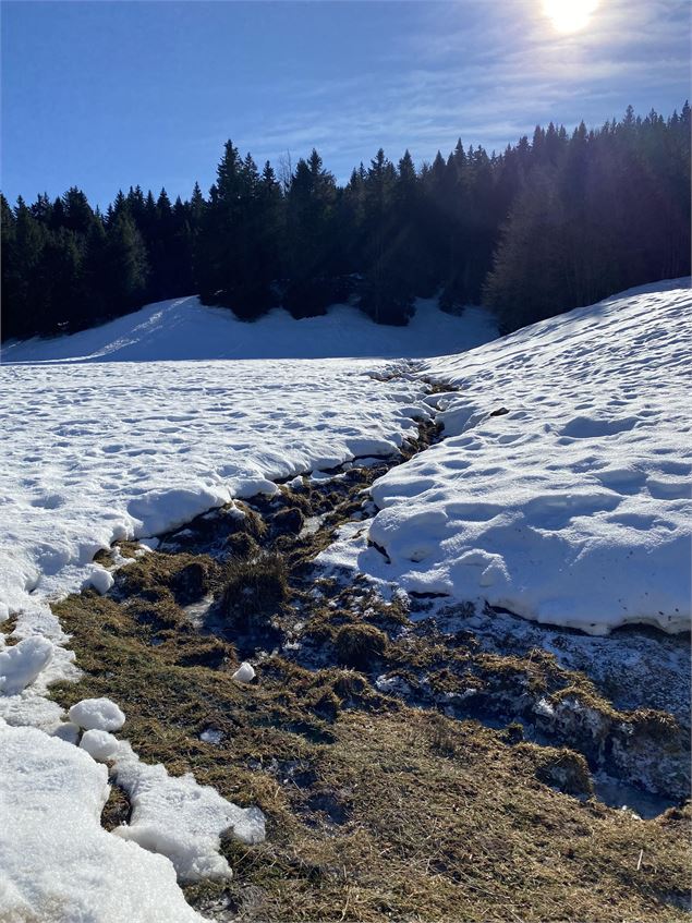 Itinéraire raquettes à neige : la petite traversée_Le Revard - Benjamin Panczuk