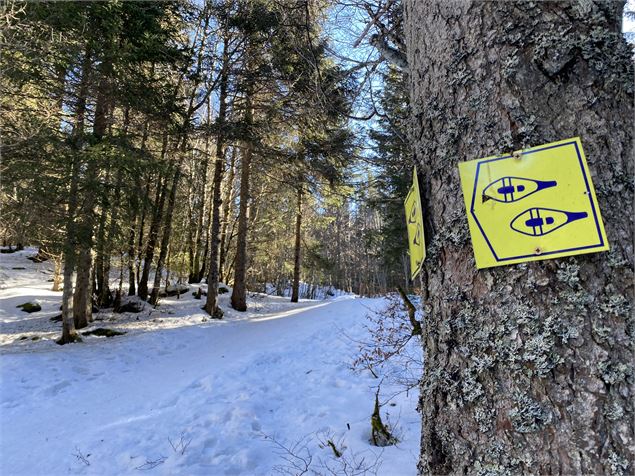 Itinéraire raquettes à neige : la petite traversée_Le Revard - Benjamin Panczuk