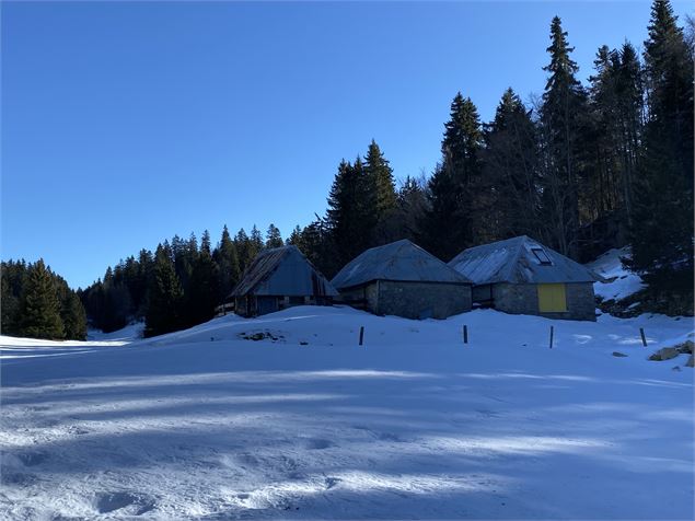 Itinéraire raquettes à neige : la petite traversée_Le Revard - Benjamin Panczuk