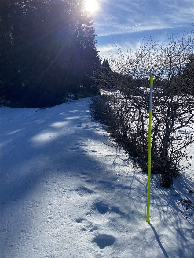 Itinéraire raquettes à neige : la petite traversée_Le Revard - Benjamin Panczuk