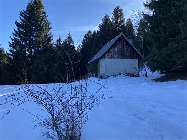 Itinéraire raquettes à neige : la petite traversée_Le Revard - Benjamin Panczuk