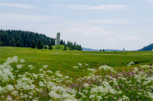 Plateau des Glières - Yan Gaëtan Olivo