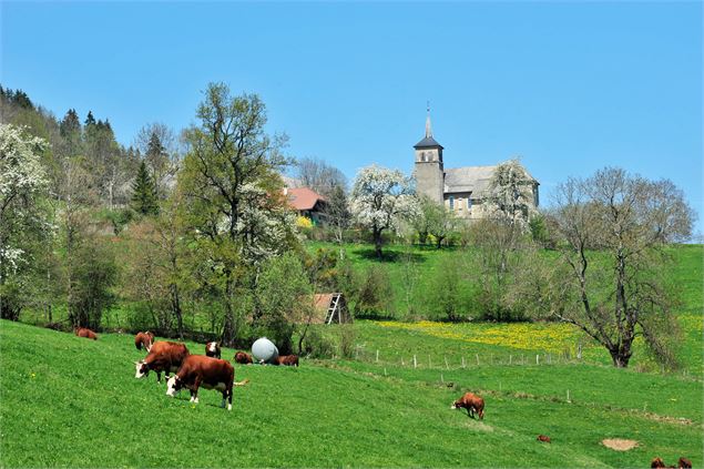 Col de Leschaux - Tristan Shu - Annecy Mountains