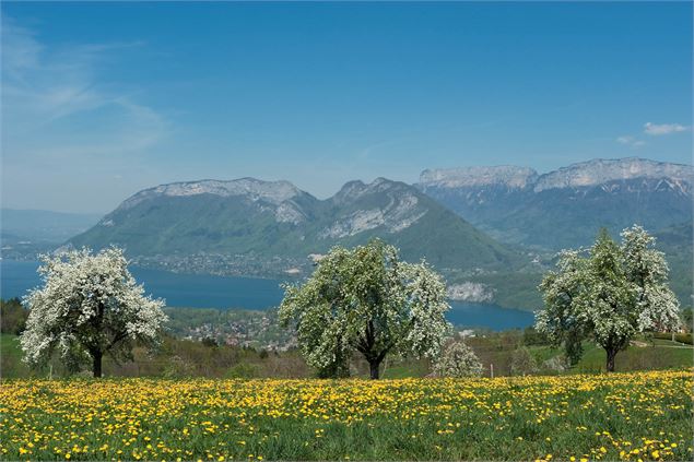 Montée au Col de Leschaux - Tristan Shu - Annecy Mountains