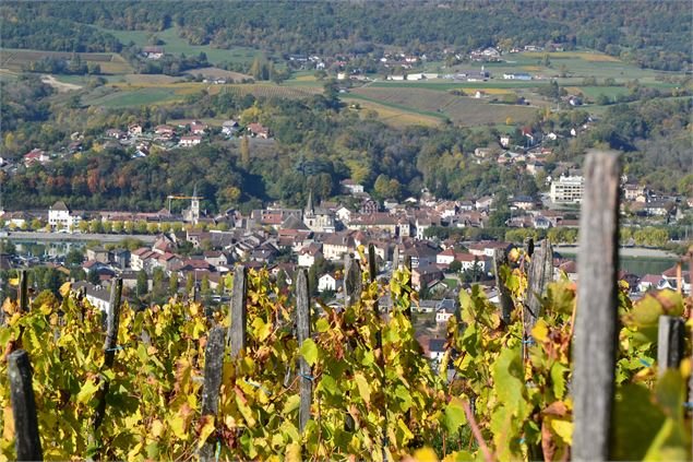 Seyssel vignes - CD74