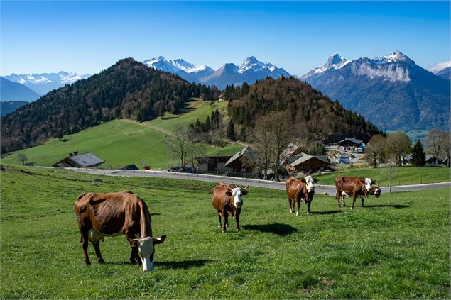 Col de la Forclaz - © Savoie Mont Blanc - Lansard