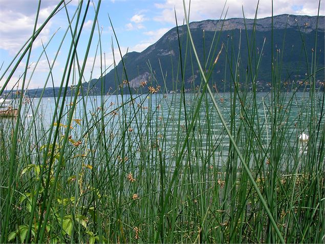 Sentier de découvertes