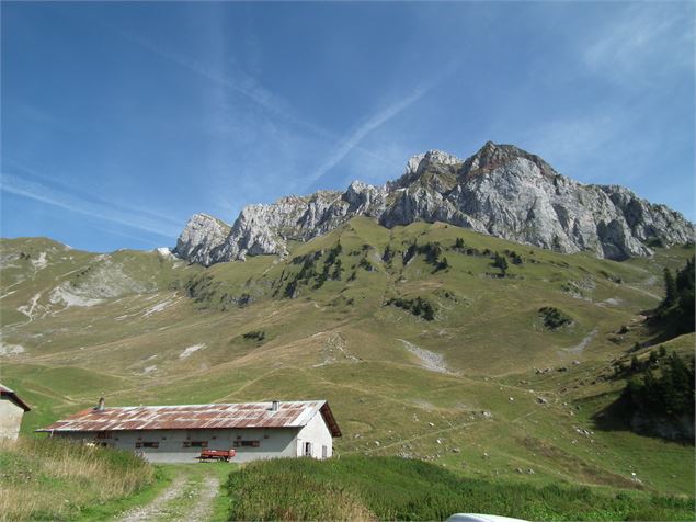 Vue sur les Cornettes depuis le hameau de Bise - LChochon