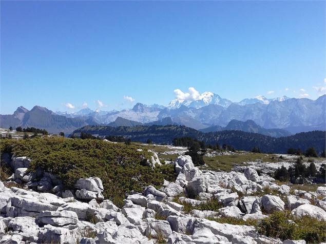 Croix de Sous Dine - Office de Tourisme