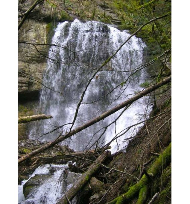 Les cascades de Montviard - Nicole Tissot