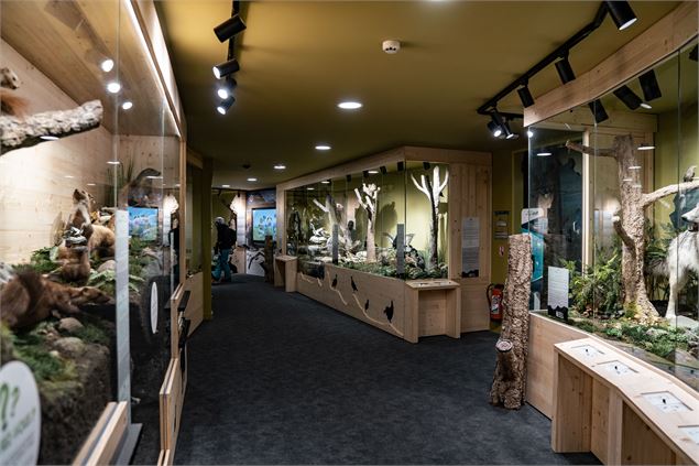 Muséum des Animaux de Montagne - Juliette Rebour