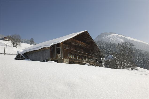 Chalet à Châtel - JF Vuarand