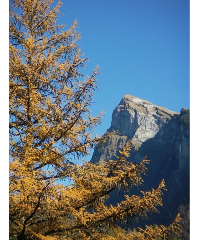 Le Criou - Aouille du Criou - Franck Paubel