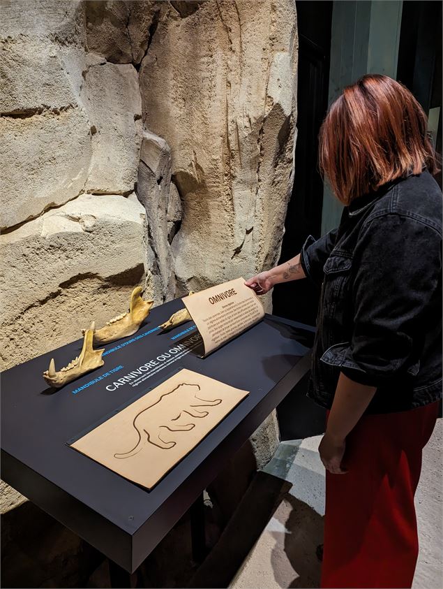 - Stéphanie Vérollet