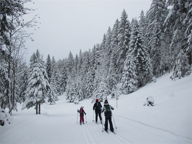Sur la piste - ©AMbarbe