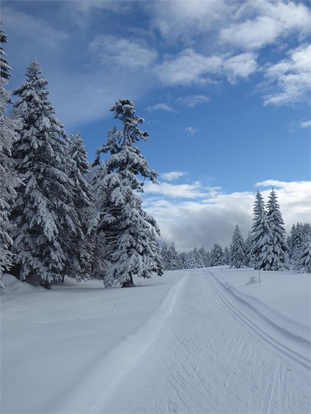 La belle piste de ski de fond - ©AMbarbe