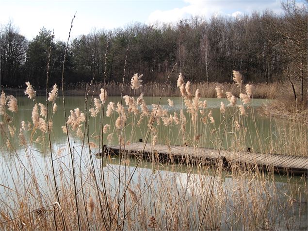 Etang de Colovrex - Office de Tourisme du Pays de Gex