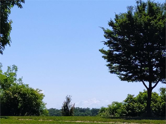 Vue sur le Mont Blanc depuis l'étang de Colovrex - Office de Tourisme du Pays de Gex