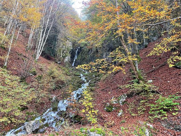 Cascade de Brion - ©Alegrand