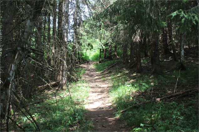 Chemin de randonnée - ©NicodèmePeillon
