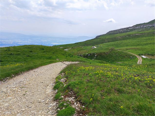 L''Alpage de la Calame - ©Juliette Thévenard