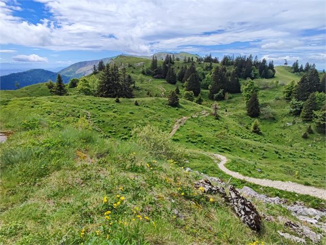 Paysage sur les crêtes depuis le Petit Mont-Rond - Benjamin Becker