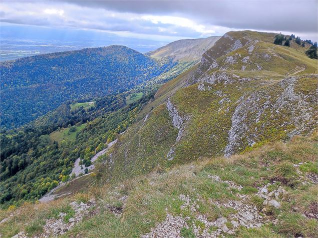 Vue des crêtes vers le Colomby de Gex - Anne-Marie Barbe