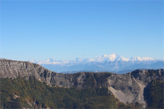 La Roche Franche - ©AMbarbe