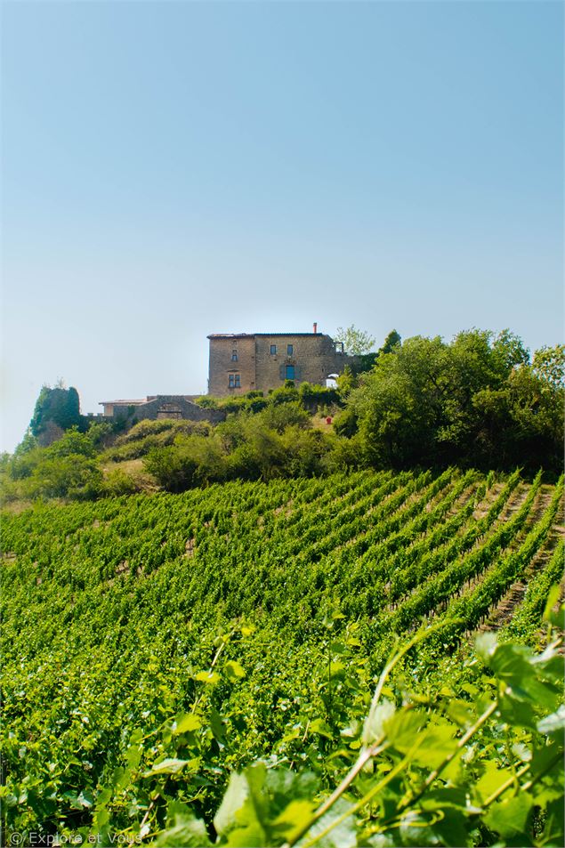 Vignoble du Bugey - ©CC Bugey Sud – Laurent Madelon