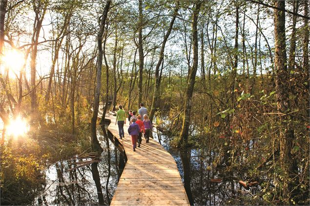 Le sentier sur pilotis au Marais de Lavours - ©CC Bugey Sud – Laurent Madelon