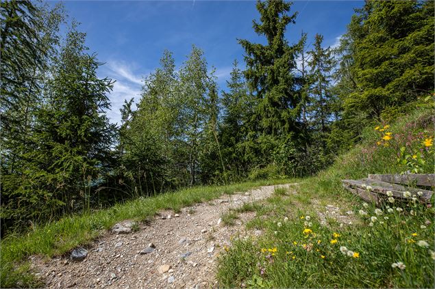 Chemin des Chevreuils - Courchevel Tourisme