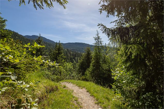 Chemin des Chevreuils - Courchevel Tourisme