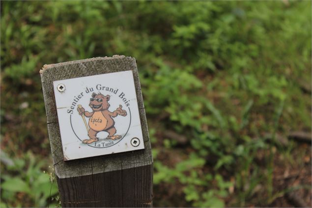 Sentier du grand bois 2 - Robin GARNIER