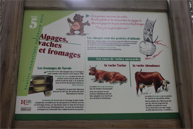 Sentier du grand bois 4 - Robin GARNIER