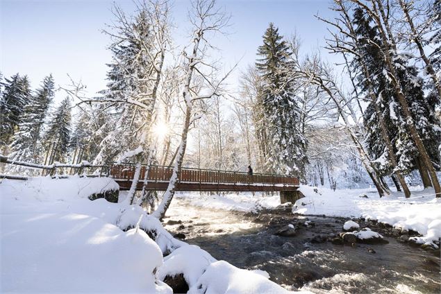 Parc des dérêches hiver - JB Bieuville
