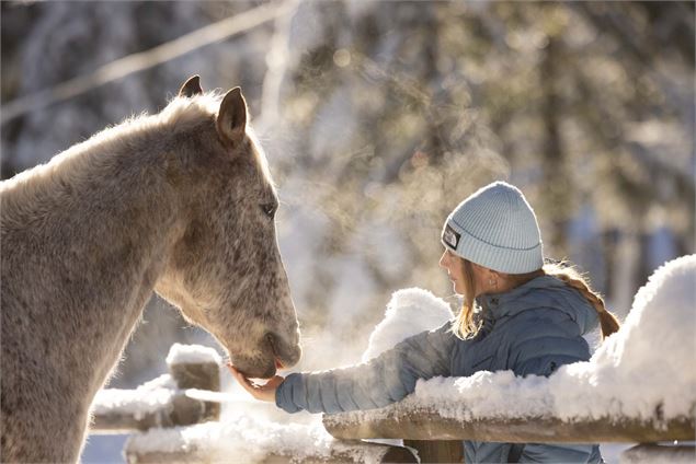 Parc des dérêches hiver - JB Bieuville