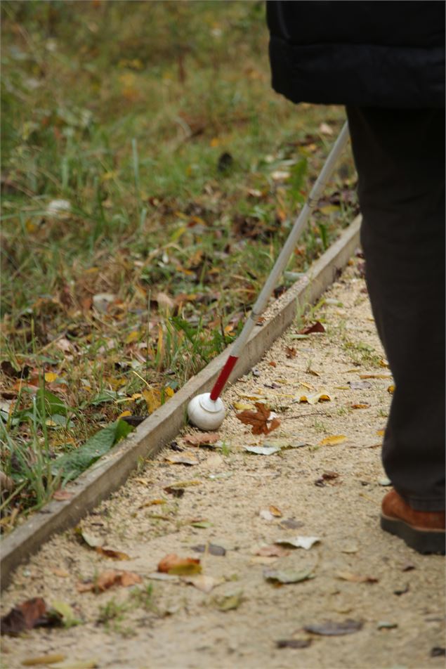 LIgne de vie sur sentier du Marais de l'Etournel - M. Duran/Office de Tourisme du Pays de Gex
