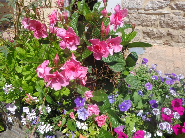 Fleurissement Vonnas - OT Vonnas Pont de Veyle