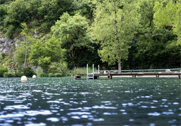 Baignade au lac de Virieu-le-Grand_Virieu-le-Grand - © Thibault Collin