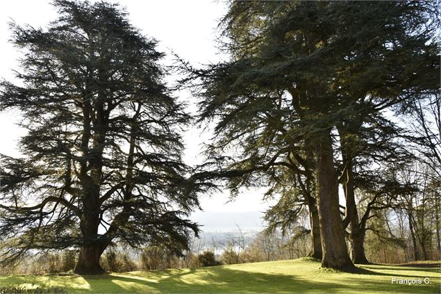 - Chateau de Varambon