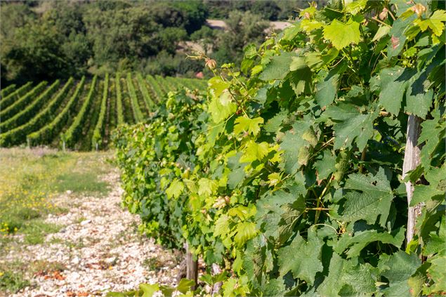 Village de Seillonnaz