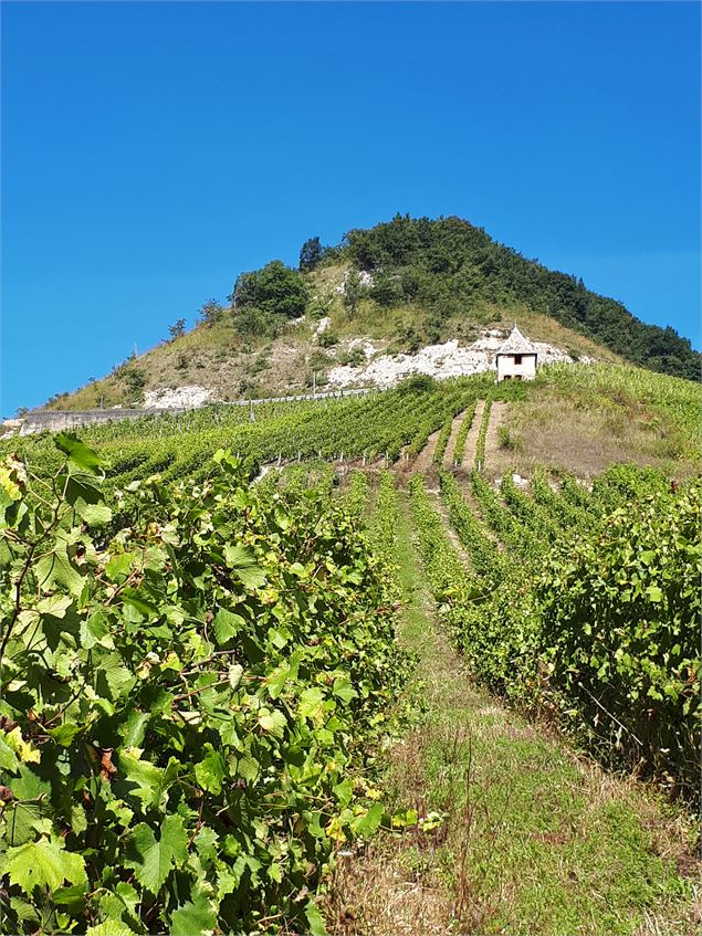 Village de Seillonnaz