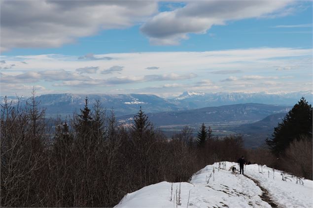 Vue sur les Alpes durant le circuit des crêtes d'Innimond - Marilou Perino