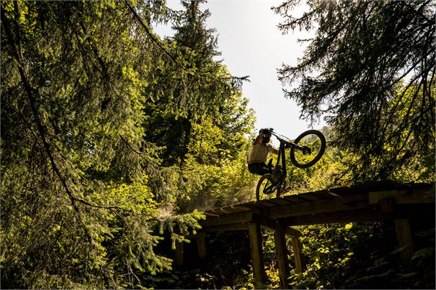 Piste VTT Coup de fouet du Bike Park de Châtel - L.Meyer - Châtel