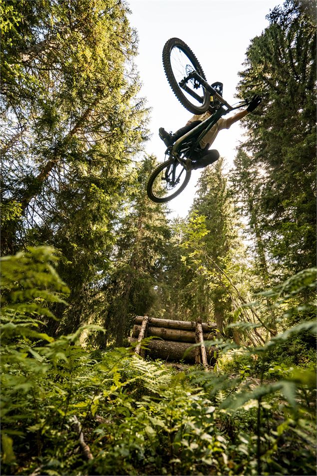 Piste VTT Coup de fouet du Bike Park de Châtel - L.Meyer - Châtel