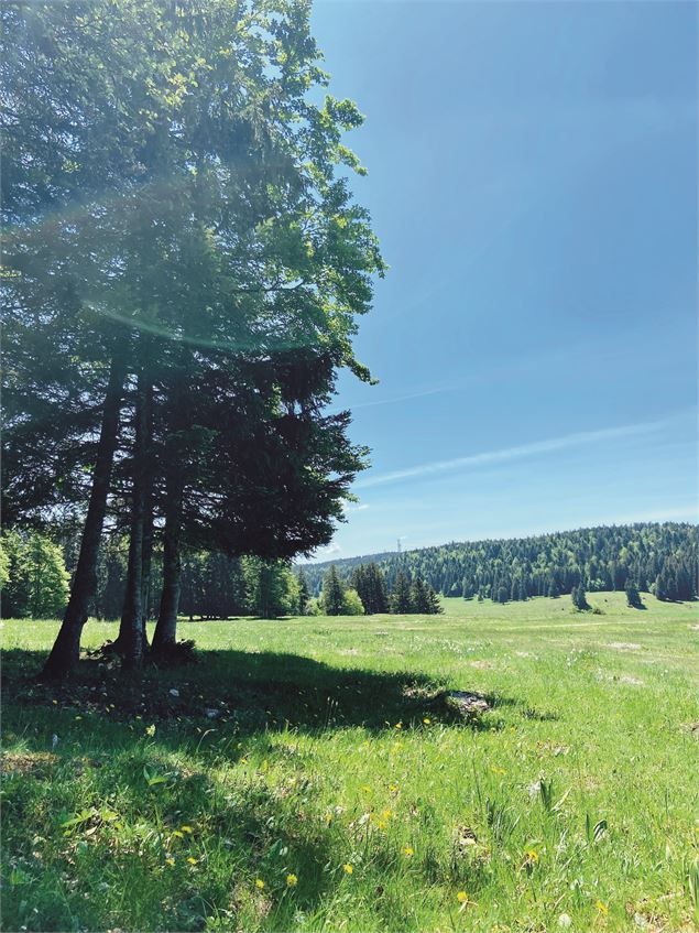 Plateau de Retord - ©Laurent Madelon CC Bugey-Sud